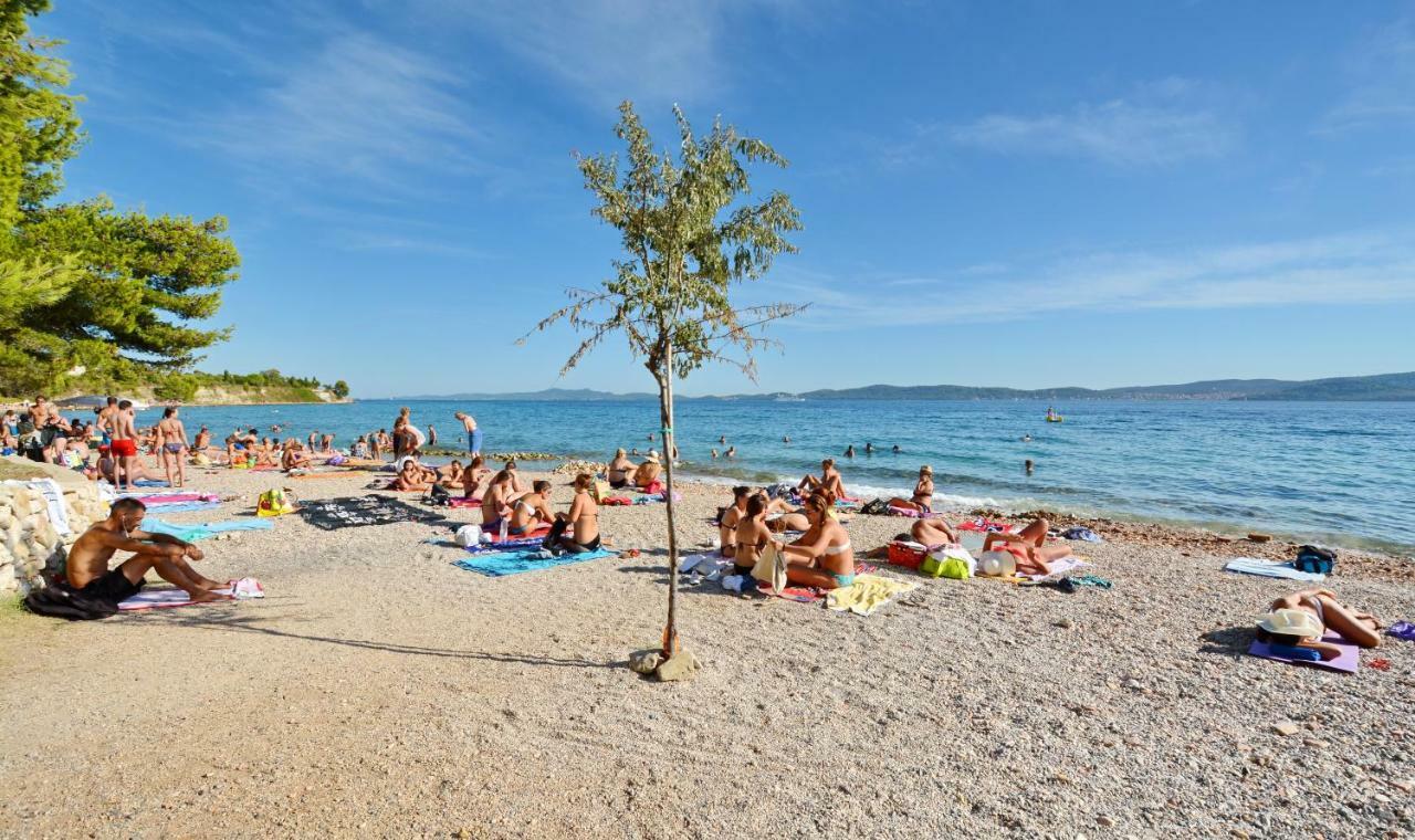 Apartment Olive Garden Zadar Buitenkant foto
